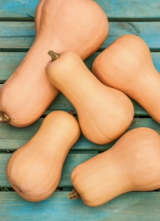 Squash | Butternut