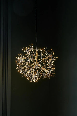 Hanging Dandelion Light
