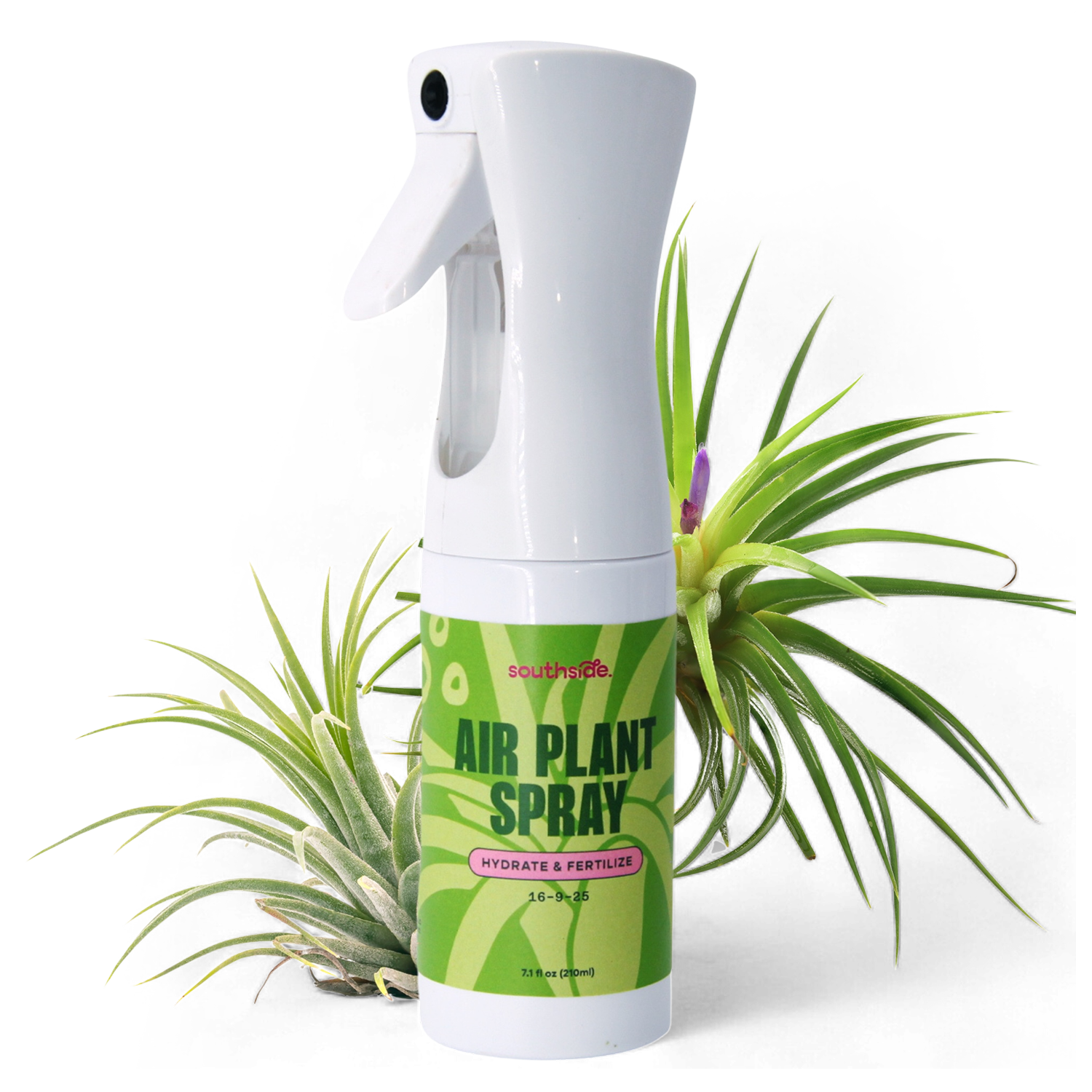 air plant fertiliser Air Plant Fertilizer