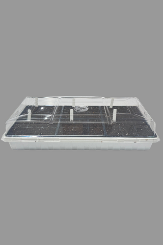 Clear plastic seed tray on a gray background