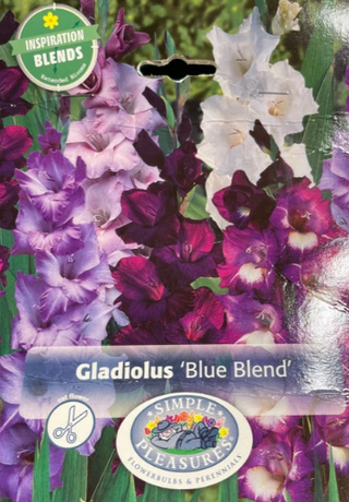 A bunch of flowers ranging from white to dark purple.