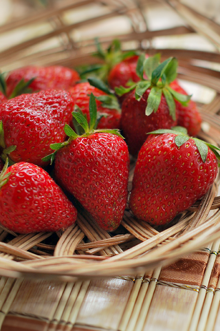 Strawberry | Honeoye | 25pk PRE-ORDER