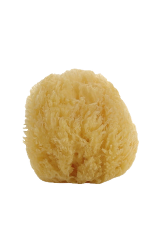 Natural Sea Sponge – Small
