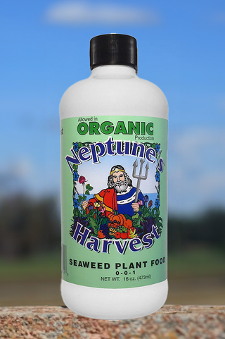 Neptune's Harvest Organic Seaweed Plant Food 0-0-1 473ml