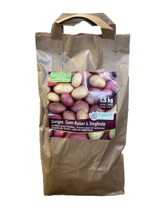 PRE-ORDER Seed Potatoes | Sangre, Gem Russet, & Sieglinde (Organic Combo) 1.5kg