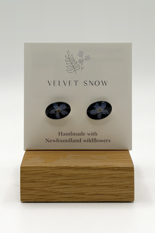 Stud Earrings | Forget Me Not on Black | Round | Stainless Steel