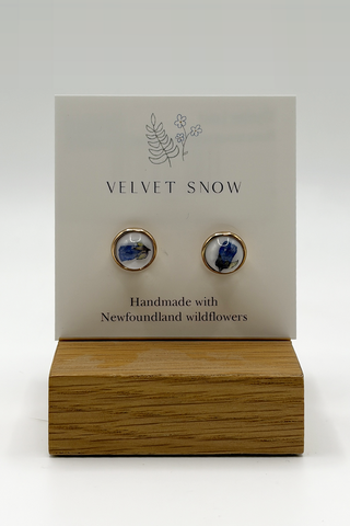 Stud Earrings | Oyster Leaf | Round | Rose Toned Stainless Steel