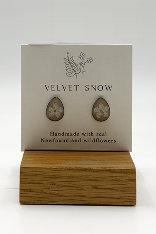 Stud Earrings | White Forget Me Not | Round | Stainless Steel