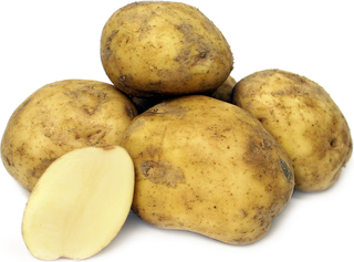 Seed Potatoes | Kennebec (White) | 2kg Bag - PRE-ORDERS
