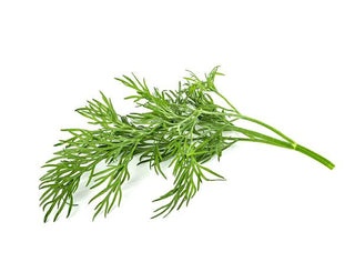 Click and Grow Refill 3-Pack - Dill