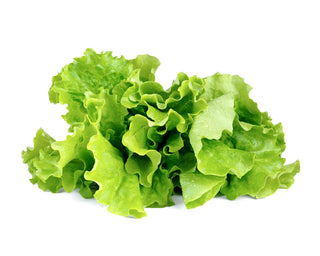 Click and Grow Refill 3-Pack - Green lettuce