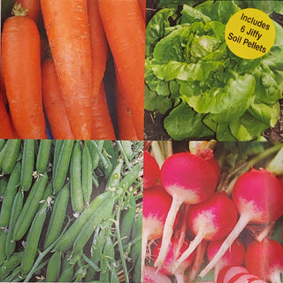 Easy Garden Seed Kit: Carrot, Lettuce, Peas, Radish