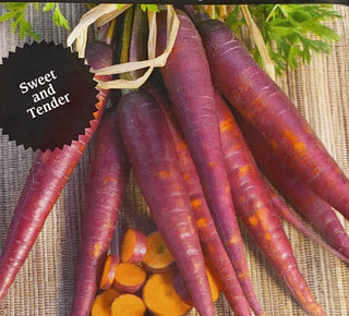 Carrot | Purple Gaze