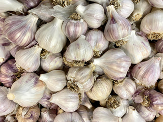 LOCAL NL-Grown Fall Garlic "Music"