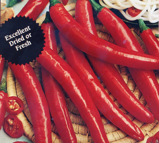 Hot Pepper | Long Red Cayenne