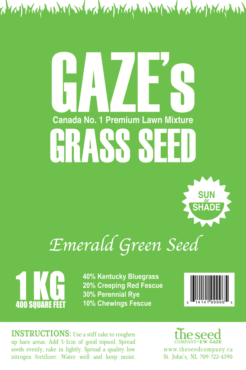 Grass Seed & Ground Cover The Seed Company by E.W. Gaze