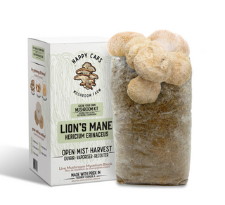 Lion's Mane Mushroom Growing Kit