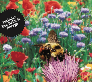 Wildflower Mix, Bee Lovers