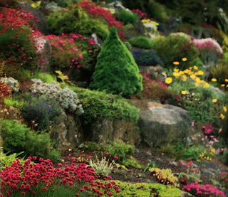 Rock Garden, Perennial Mix