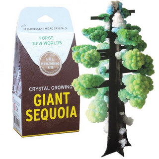 Crystal Growing Kit: Giant Sequoia