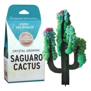 Crystal Growing Kit: Saguaro Cactus